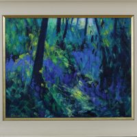 UK_Sunlit Bluebell Woods 16 x 20