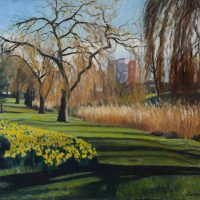 UK_daffodils in hereford park 24 x 20