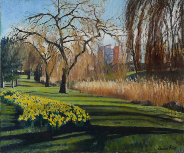 UK_daffodils in hereford park 24 x 20