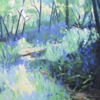 Hazy woodlands, Spring. 30 x 30
