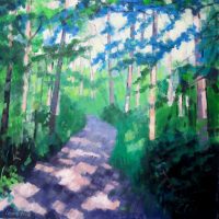 Sunlit woods, Summer. 30 x 30